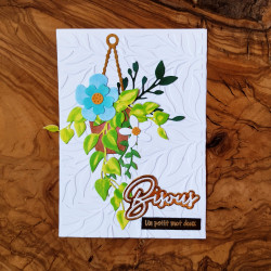Plantas colgantes- set de...