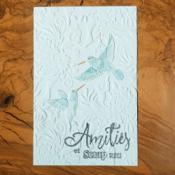 Colibris - Classeur de...