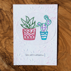 Die Pots cactus et succulentes