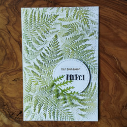 Helechos - Carpeta de texturas