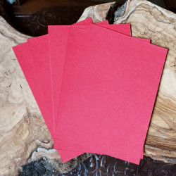 5 Feuilles Rouges A5...