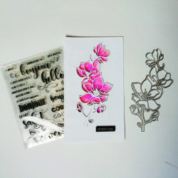 Restockage mi mai - Set de...